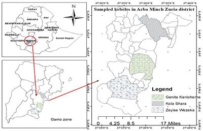 Seasonal Patterns: Bovine Trypanosomosis, Glossina pallidipes Density, and Infection in Rift Valleys of Gamo Zone, Southern Ethiopia